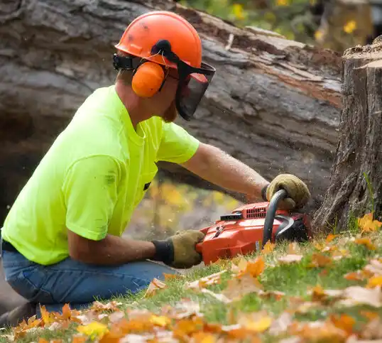 tree services Powell